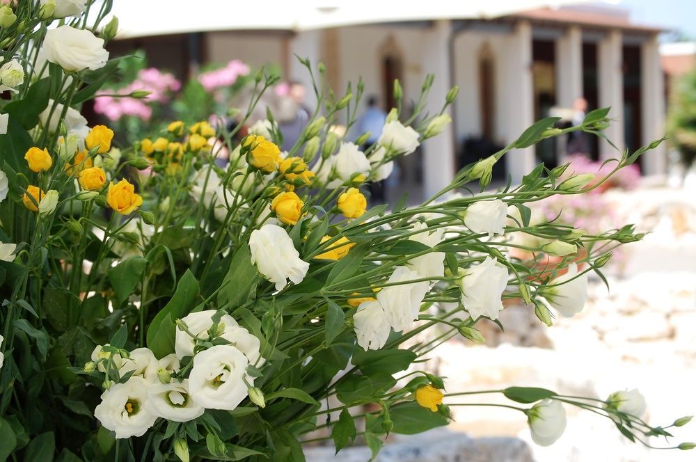 Hotel Masseria La Grande Quercia Mottola Exteriér fotografie